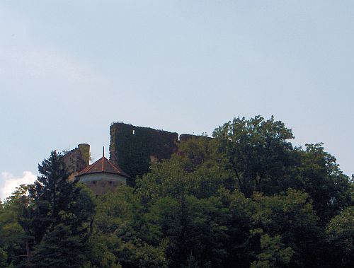 Burgruine Mollenburg in Weiten (Niederösterreich)