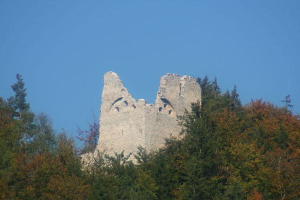 Burgruine Alt-Mannsberg (Altmannsberg, Mannsberg) in Kappel am Krappfeld