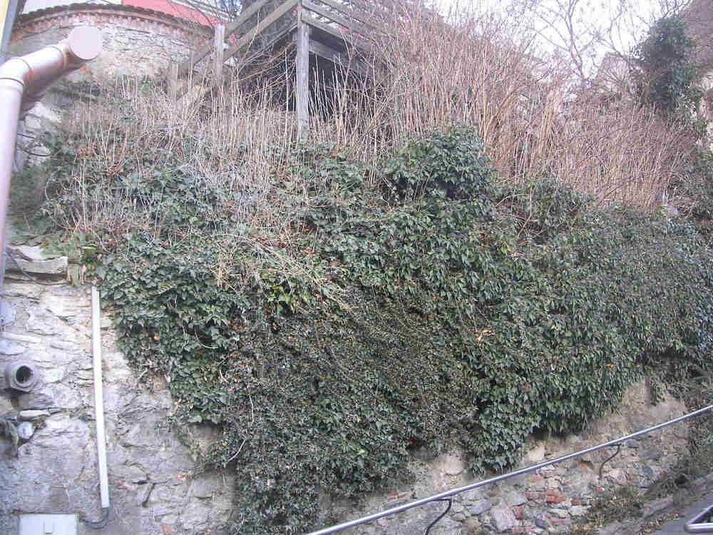 Stadtbefestigung Frohnleiten