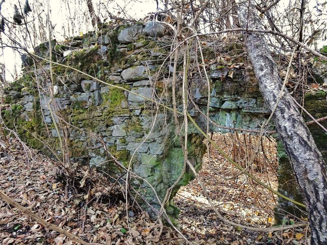 Burg Dietrichstein