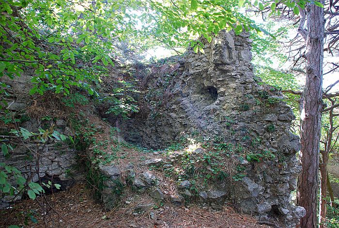 Burg Kammerstein