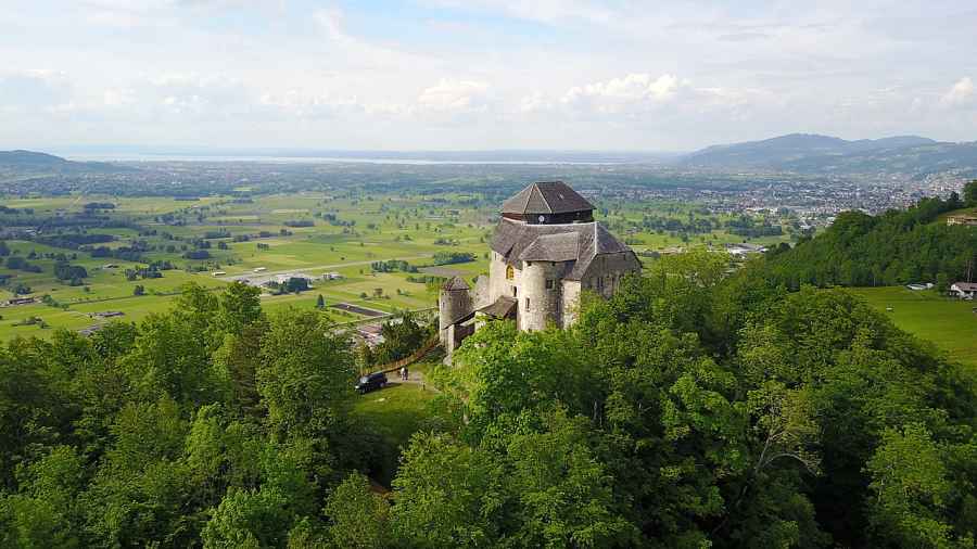 Burg Neu Ems (Glopper, Hohenems, Neuems, Neu-Ems, Tannenburg) in Hohenems