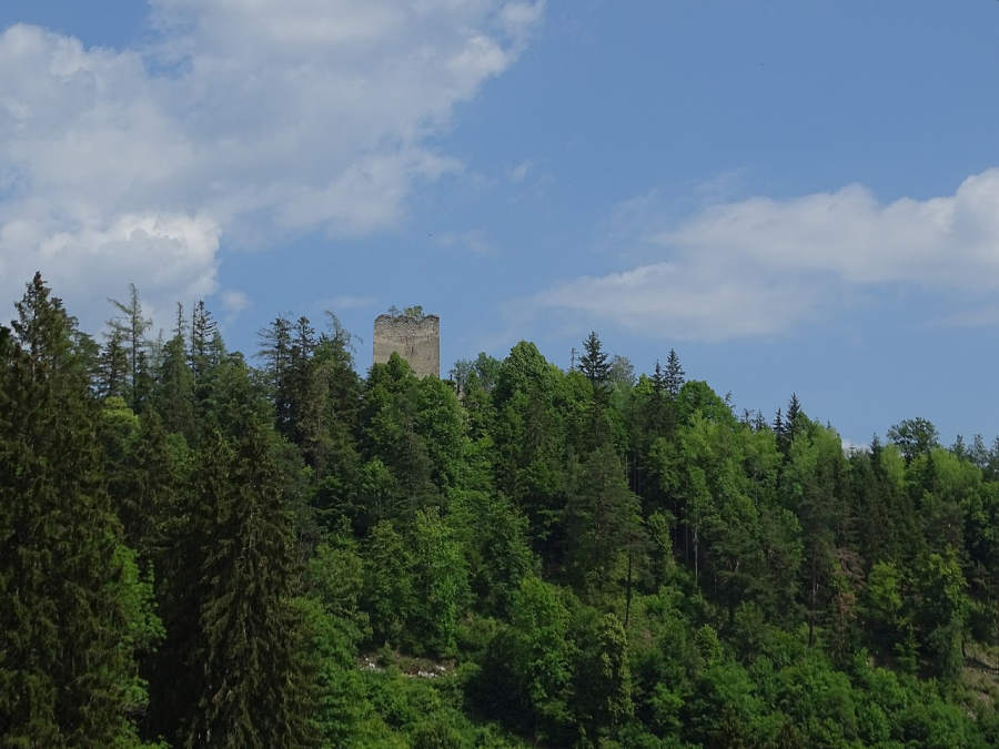 Burgruine Alt-Waldstein in Deutschfeistritz