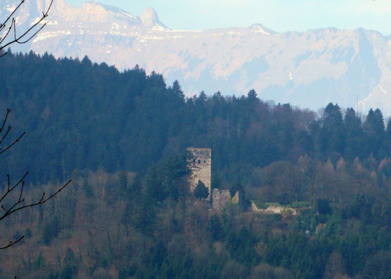 Burgruine Tosters in Feldkirch-Tosters
