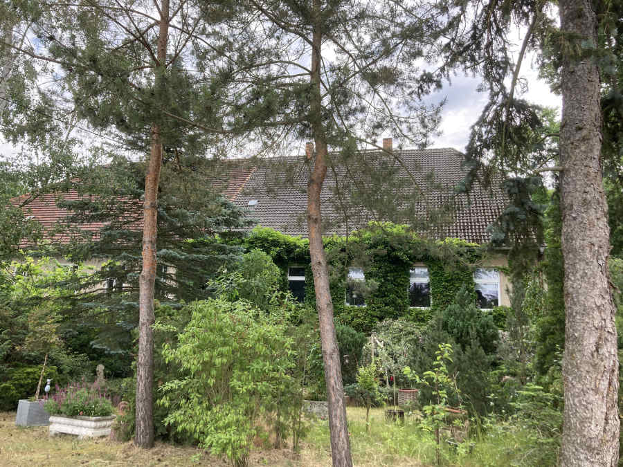 Altes Herrenhaus (Wüstenhain)