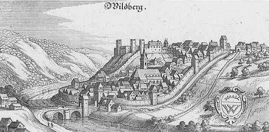 Burg-Wildberg