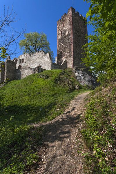 Burgruine Kastelburg in Waldkirch