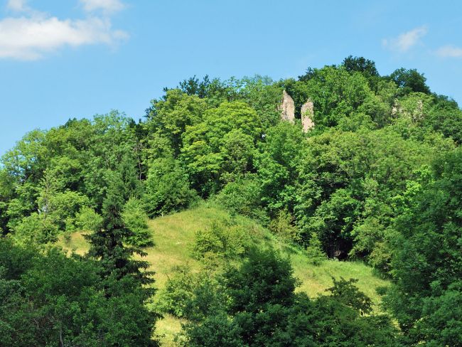 Burg Neckarburg