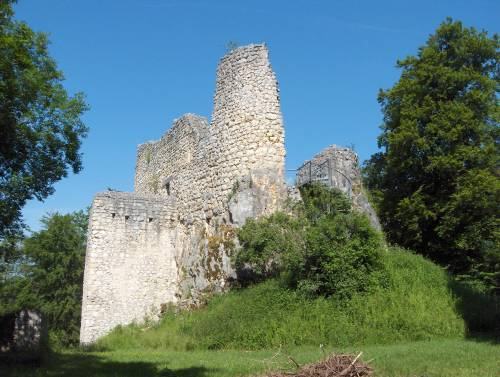 Burg Oberfalkenstein