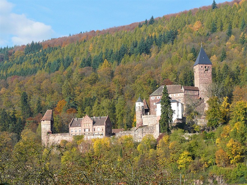 Burg Zwingenberg in Zwingenberg