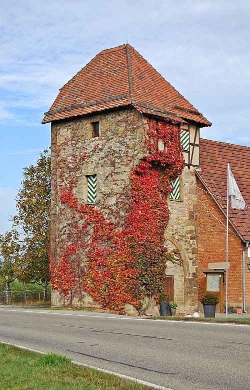 Turm Lauffen (Landturm) in Lauffen am Neckar