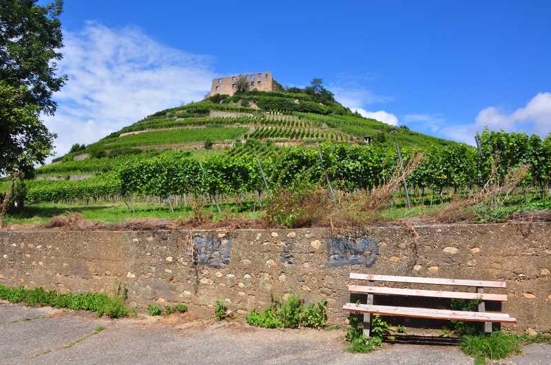Burg Staufen in Staufen im Breisgau