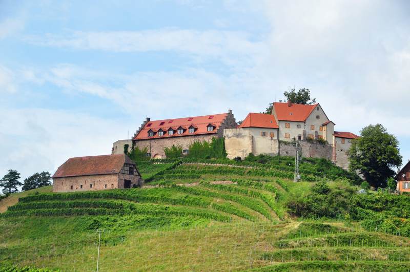 Schloss Staufenberg (Staufenburg, Stauffenberg) in Durbach-Staufenberg