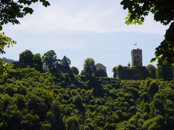 Schloss Hornberg (Altes und Neues Schloss) in Hornberg