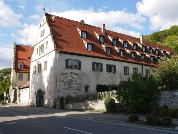 Schloss Neckarzimmern (Altes und Neues Schloss, Stadtschloss, Kleines Schloss) in Neckarzimmern