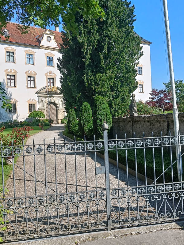 Schloss Wolfegg in Wolfegg
