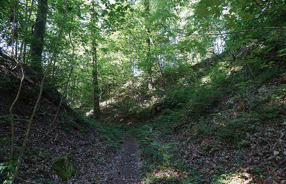 Burg Hirschenleck