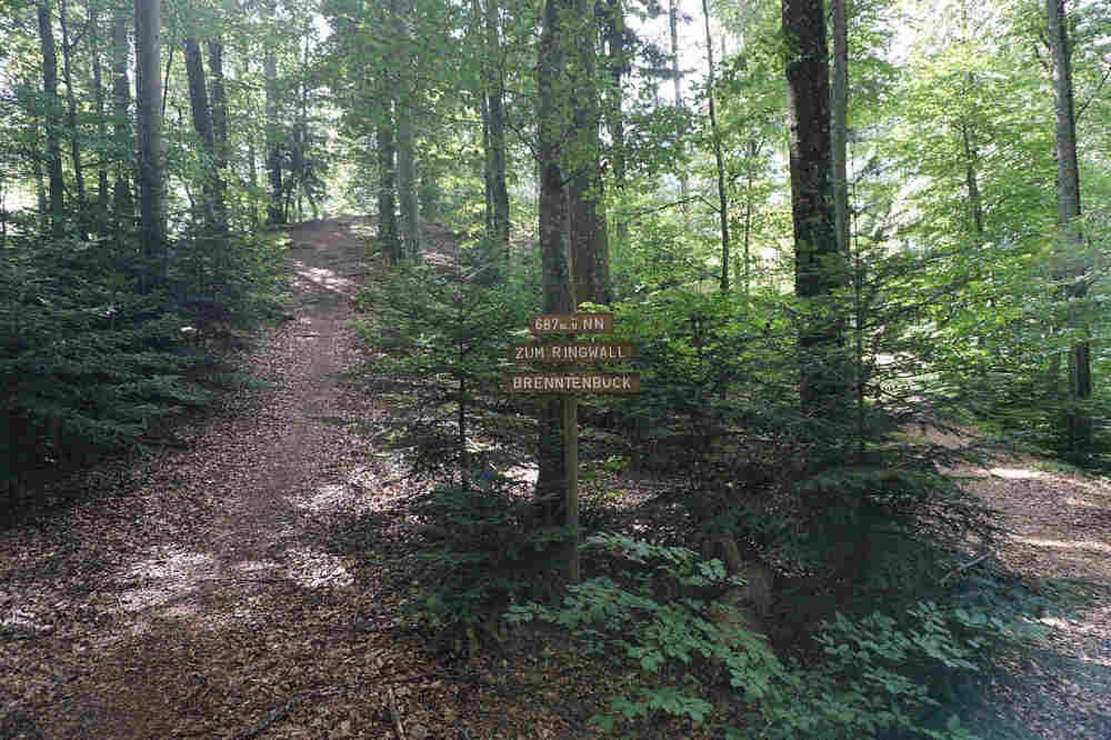 Wallburg Am brennten Buck