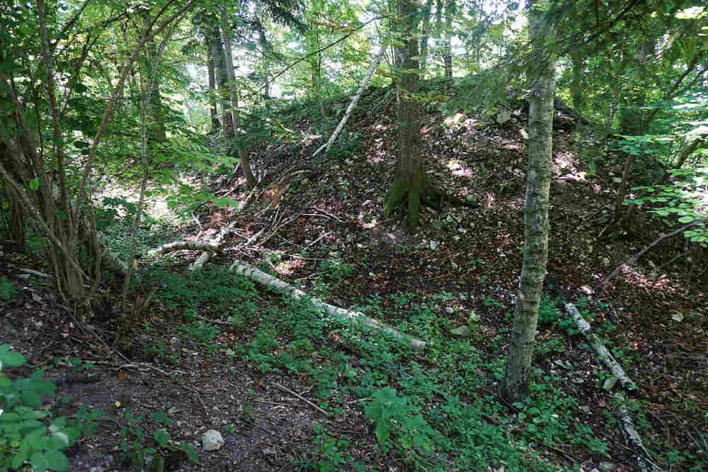Burg Jörgenberg