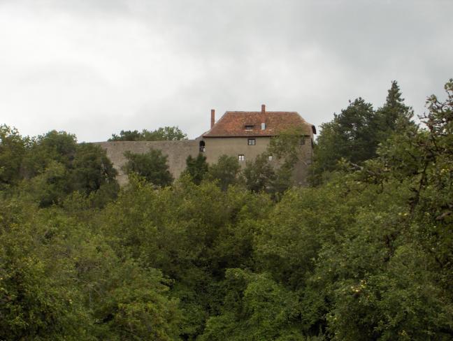 Burg Friedingen (Schlössle, Hohenfriedingen, Friedinger Schlössle) in Singen (Hohentwiel)-Friedingen