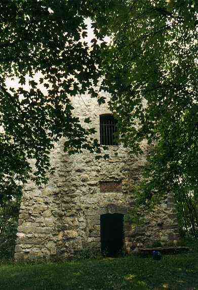 Burg Hohenringingen