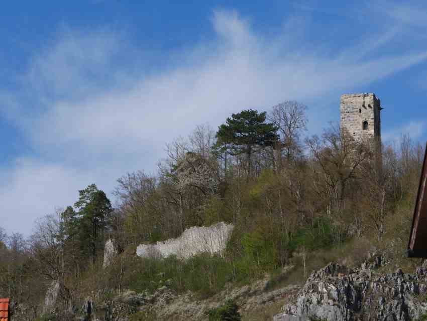 Burg Hohenschelklingen