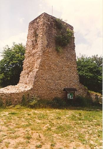 Burgruine Güssenberg (Güssenburg) in Hermaringen