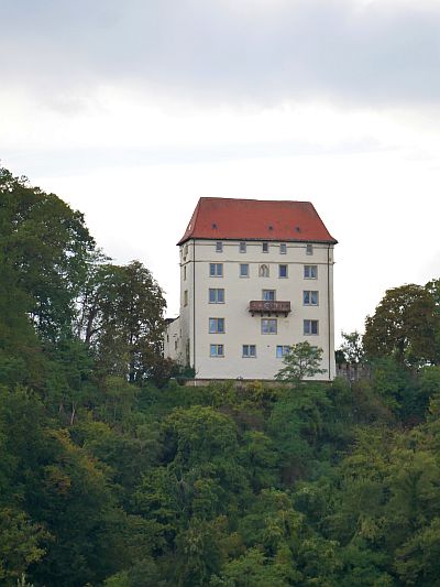 Schloss Neuburg (Hohinrot, Hohinburg, Hohonrot, Mettlenburg) in Obrigheim