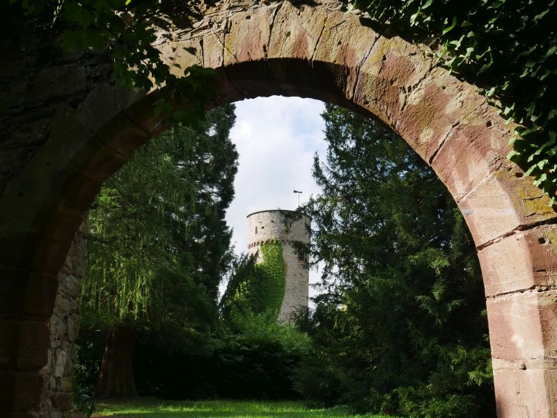 Burg Hohennagold in Nagold