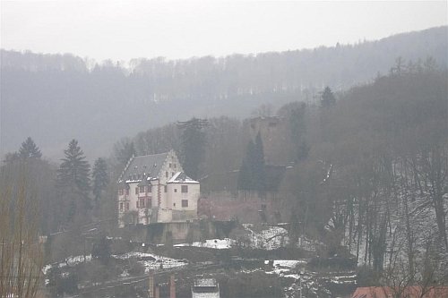 Burg Mildenburg