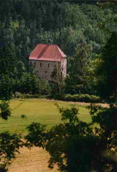 teilweise erhaltene Burg Stein in Gefrees-Stein