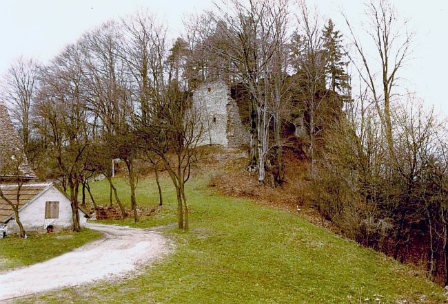Burgruine Wildenfels in Simmelsdorf-Wildenfels