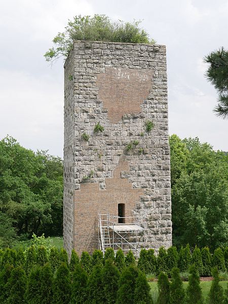 Burg Niederviehhausen (Viehhausen) in Sinzing-Viehhausen