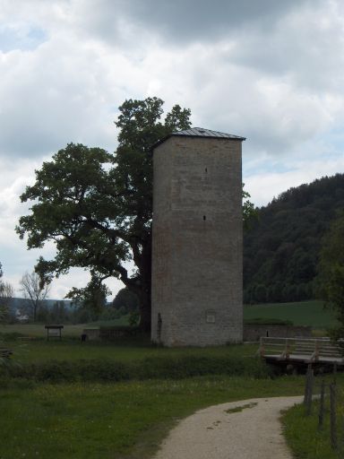 Wasserburgruine Rieshofen in Walting-Rieshofen