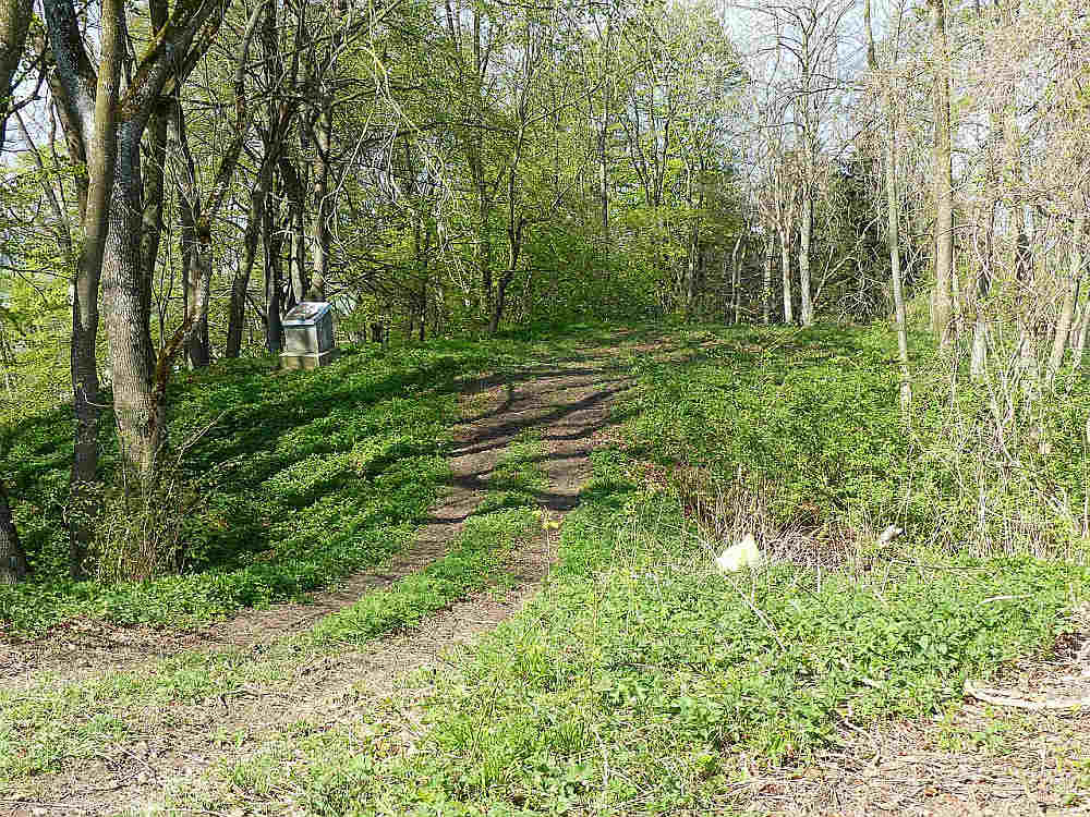 Burg Wolfertschwenden
