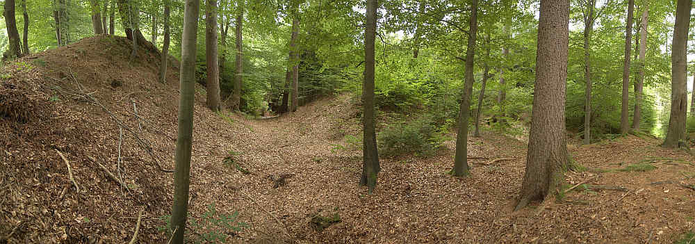 Burg Hohenrasch