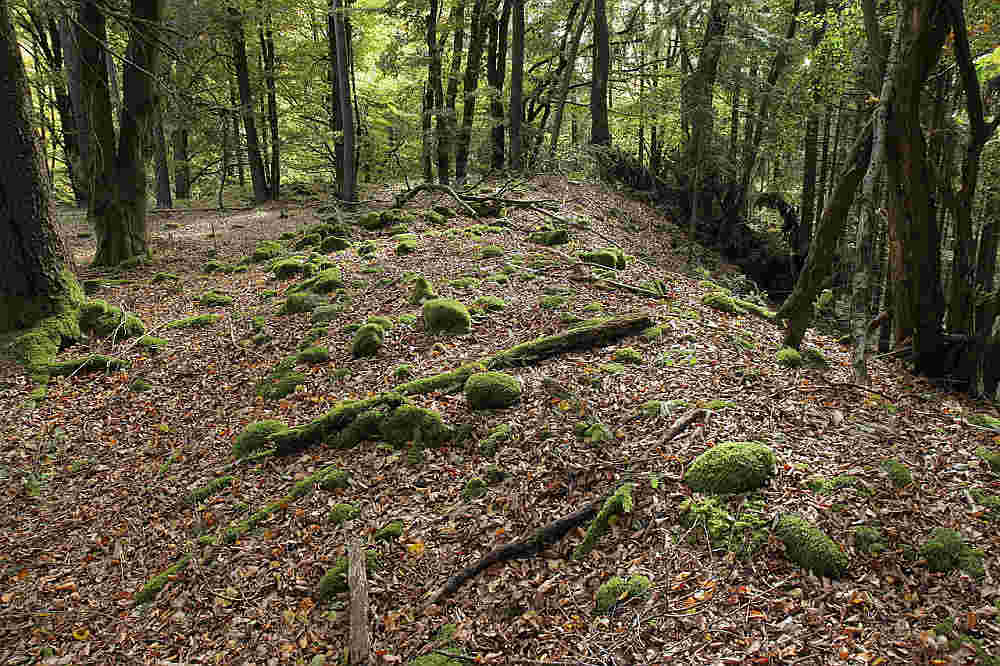 Wallburg Tirschnerberg