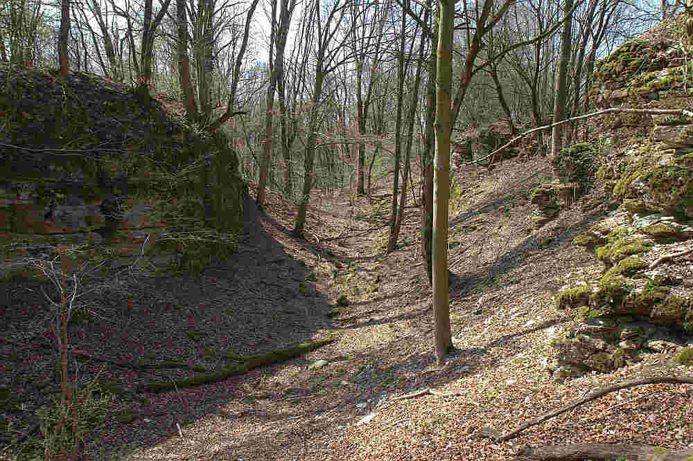 Burg Trossberg