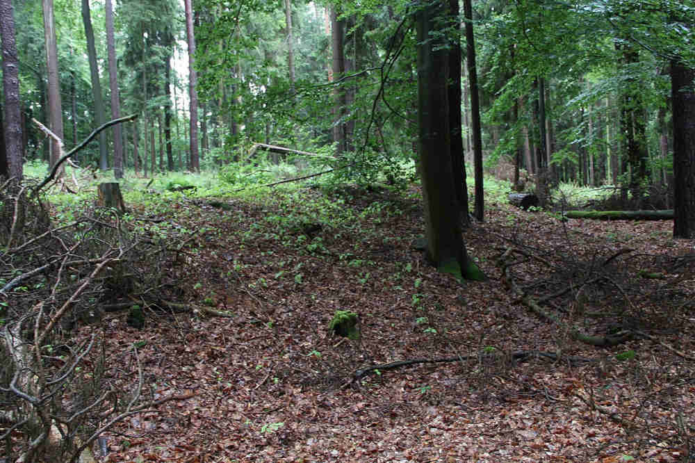 Burg Freudeneck