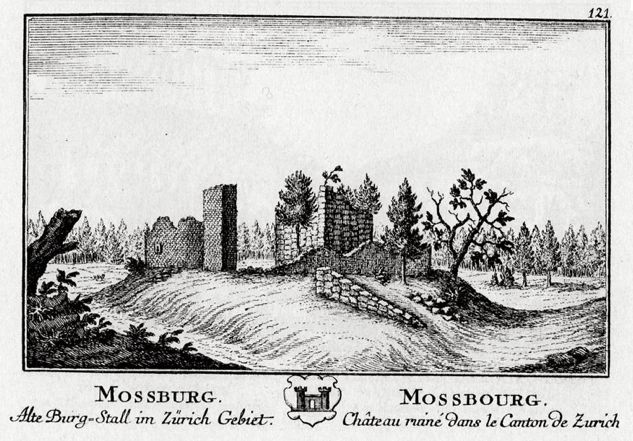 Burg_Moosburg_Illnau_Effretikon
