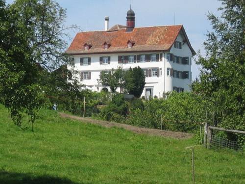Schloss Dottenwil in Wittenbach