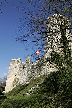 Burg Dorneck
