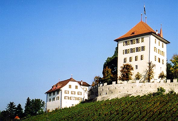 Burg Heidegg in Gelfingen