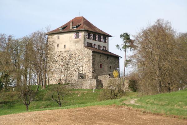 teilweise erhaltene Burg Mörsberg (Mörsburg) in Winterthur