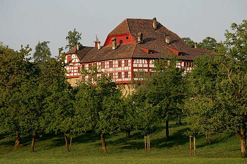 Wasserburg Hagenwil in Amriswil