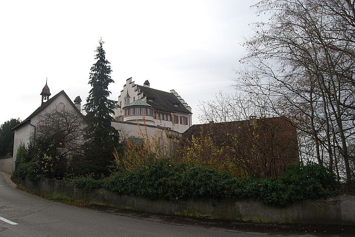 Schloss Bellikon in Bellikon