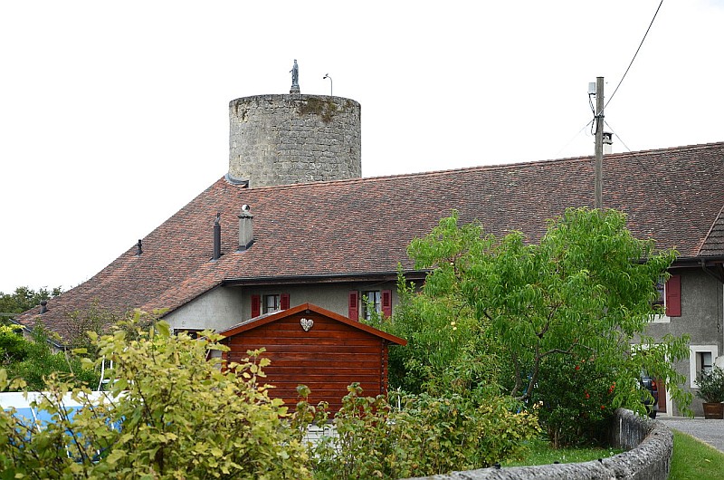 Burg Saconnex-d'Arve (La Tour Saconnex-Vandel) in Plan-les-Ouates