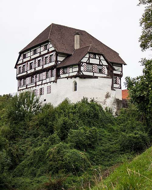 Burg Zuckenriet in Niederhelfenschwil
