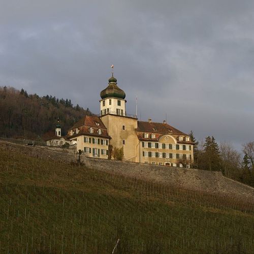 Schloss Grünenstein in Balgach