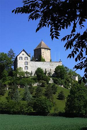 Burg Herblingen in Stetten